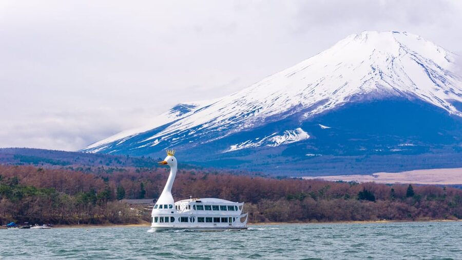 From Tokyo: Mount Fuji, Cruise and Sake Tour - Oishi Park and the Kawaguchi Lake view