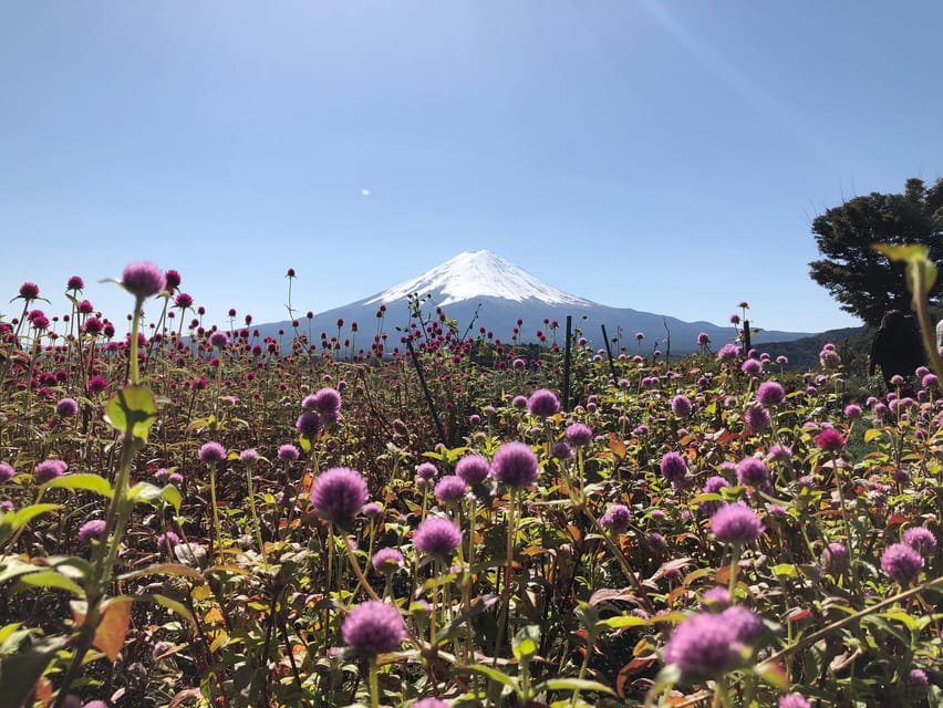 From Tokyo: Mount Fuji, Cruise and Sake Tour - How tiring is the ten-hour schedule?