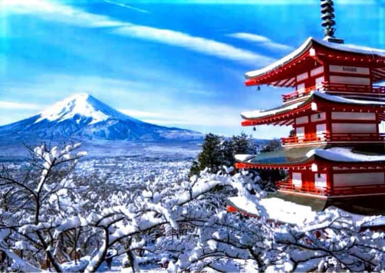 From Tokyo: Mount Fuji Full Customized Tour English Guide - Why a private Mount Fuji day trip works well