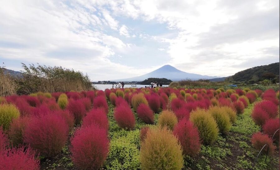 From Tokyo: Mount Fuji Full Customized Tour English Guide - Custom stops, local food, and photo help