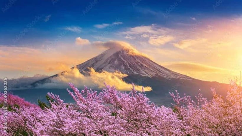 From Tokyo: Mount Fuji Full-Day Customizable Private Tour - A private way to reach Mount Fuji from Tokyo