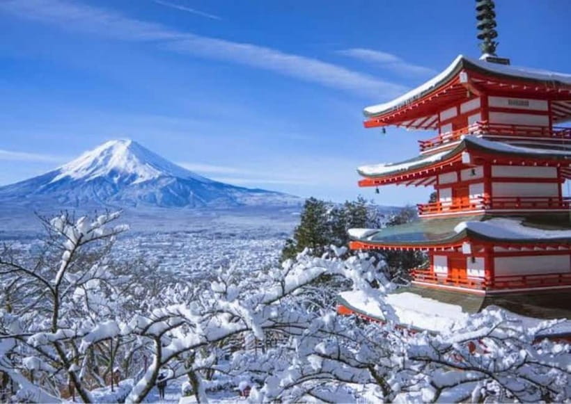 From Tokyo: Mount Fuji Full-Day Customizable Private Tour - What the driver does, and what the driver does not do