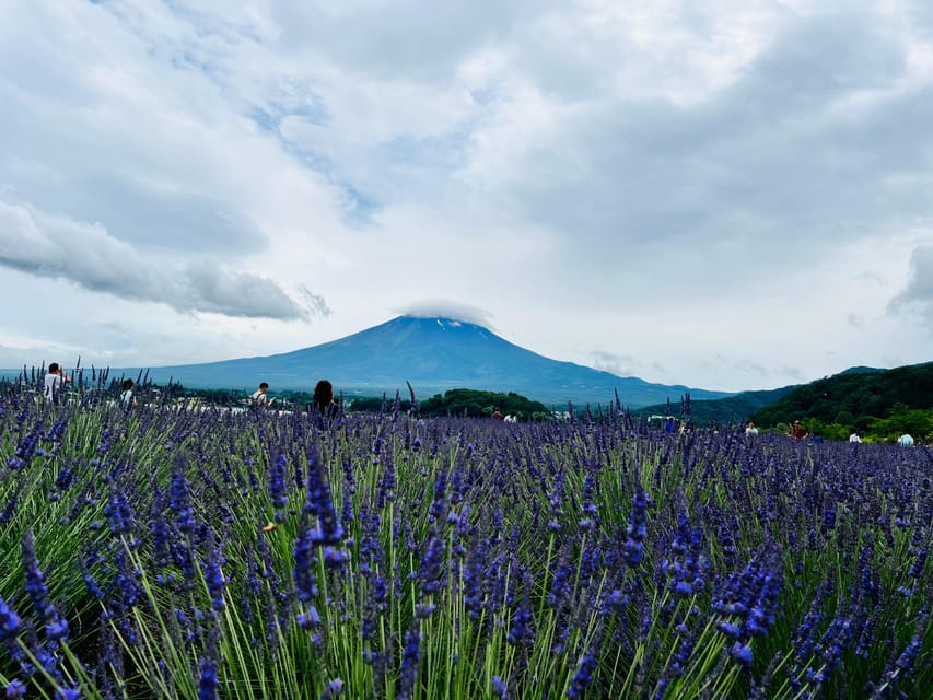 From Tokyo: Mount Fuji Full-Day Customizable Private Tour - Choose between Fuji views and Hakone sights