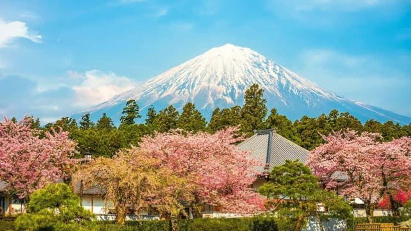 From Tokyo: Mount Fuji Full-Day Customizable Private Tour - Kitaguchi Hongu Fuji Sengen Shrine