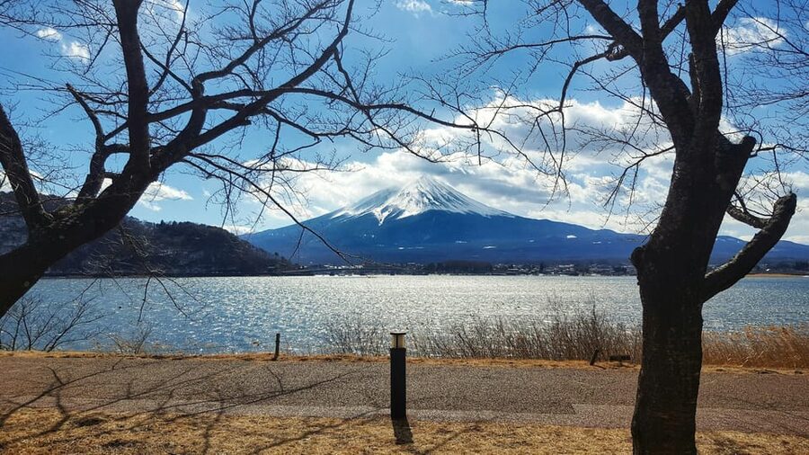 From Tokyo: Mount Fuji Full-Day Customizable Private Tour - Mount Fuji 5th Station: high views with important restrictions