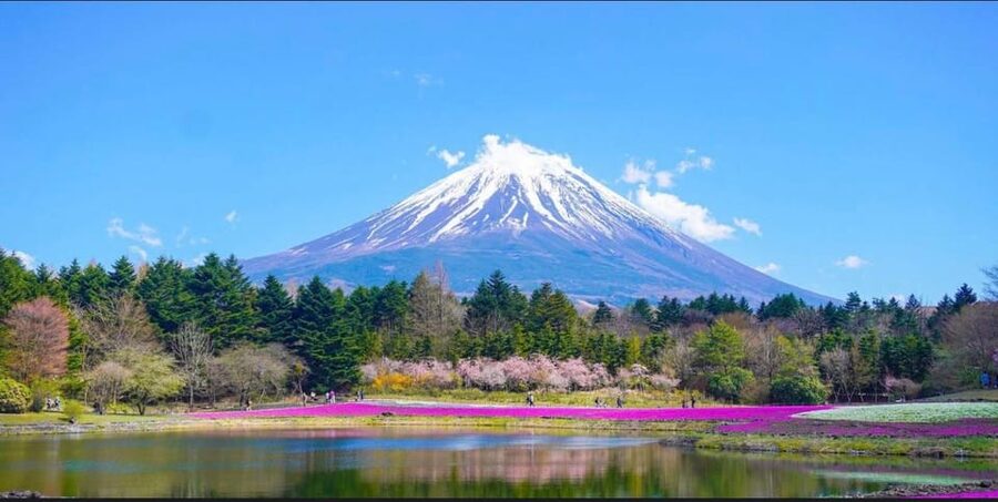 From Tokyo: Mount Fuji Full-Day Customizable Private Tour - Oshino Hakkai and rural Japan