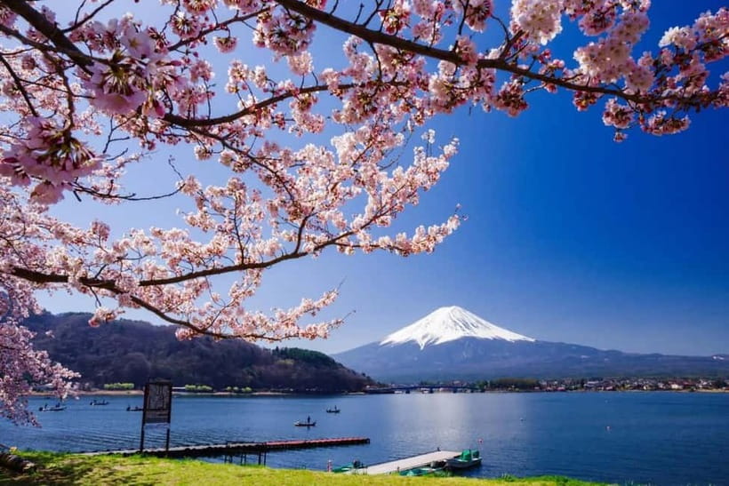 From Tokyo: Mount Fuji Full Day Private Customizable Tour - Why this private Fuji day trip works well from Tokyo