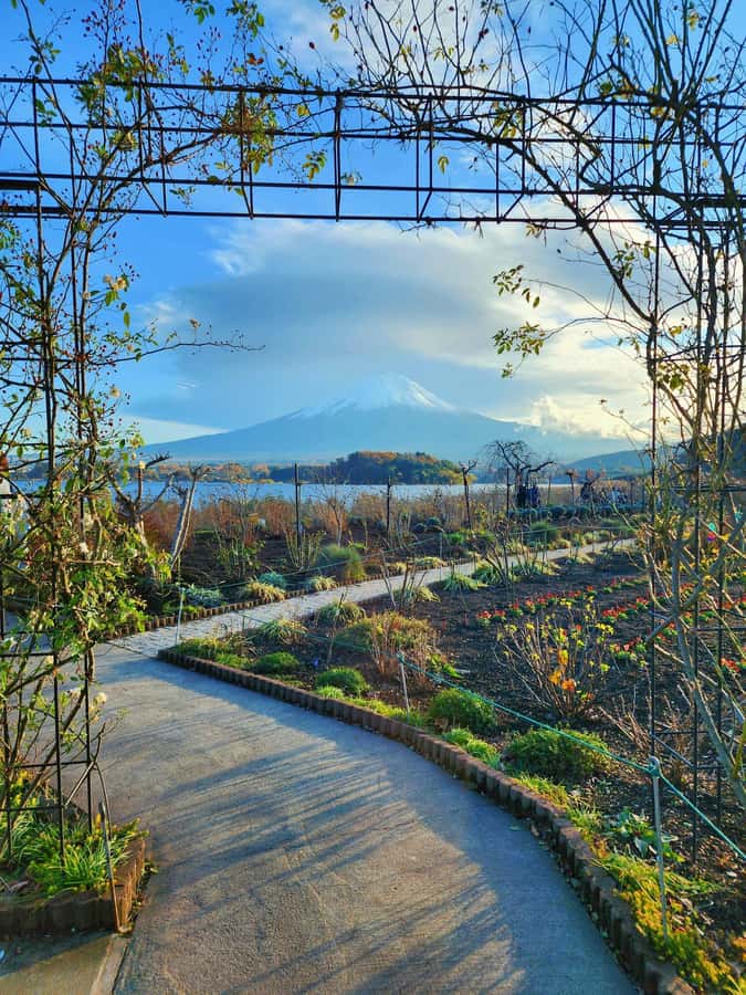 From Tokyo: Mount Fuji Full-Day Private Tour (Customizable) - Weather, mobility, and other practical limits