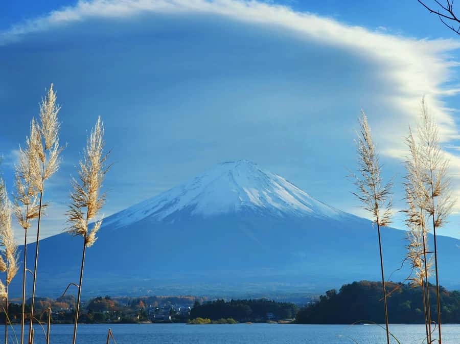 From Tokyo: Mount Fuji Full-Day Private Tour (Customizable) - Oshino Hakkai and a slower side of rural Japan