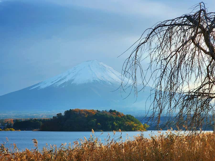 From Tokyo: Mount Fuji Full-Day Private Tour (Customizable) - When Hakone becomes part of the day