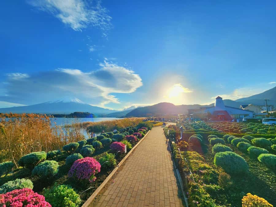 From Tokyo: Mount Fuji Full-Day Private Tour (Customizable) - What the drivers add to the experience