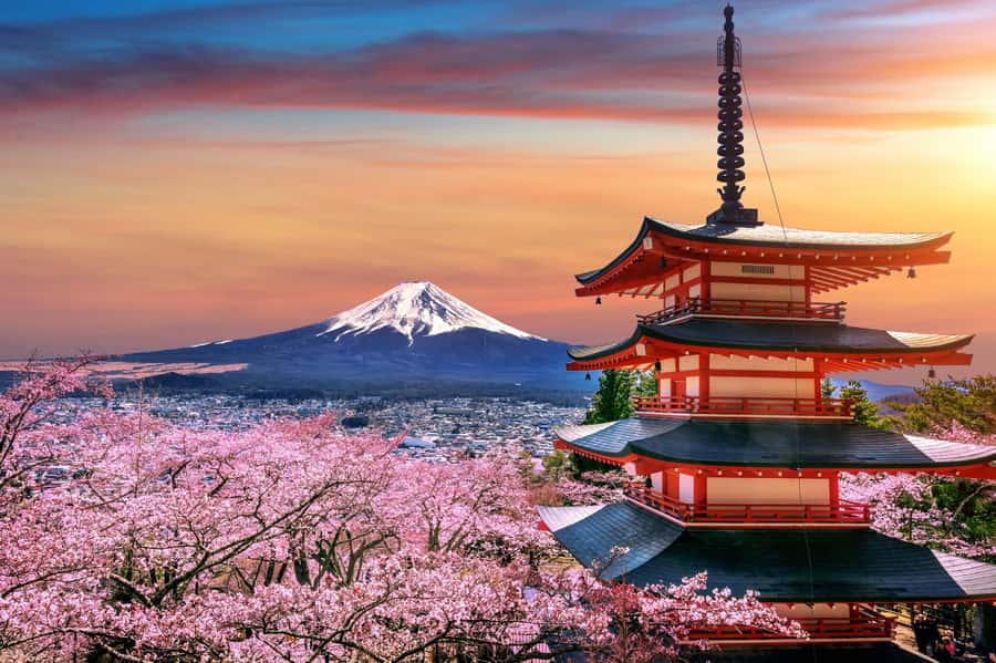 From Tokyo: Mount Fuji Full-Day Private Tour (Customizable) - Lake Kawaguchiko, the classic Fuji viewpoint