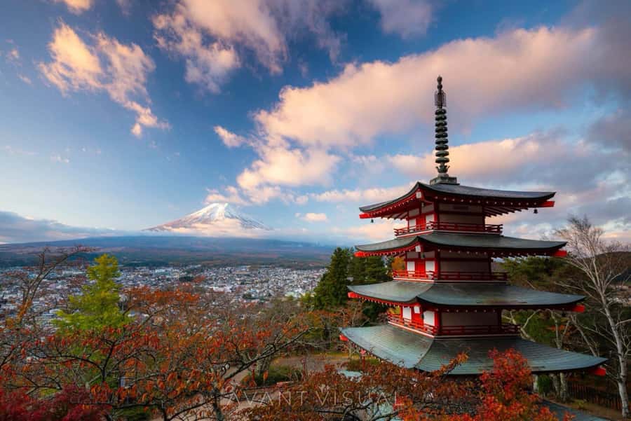 From Tokyo: Mount Fuji Full Day Private Tour English Guide - Starting from Tokyo in a private car