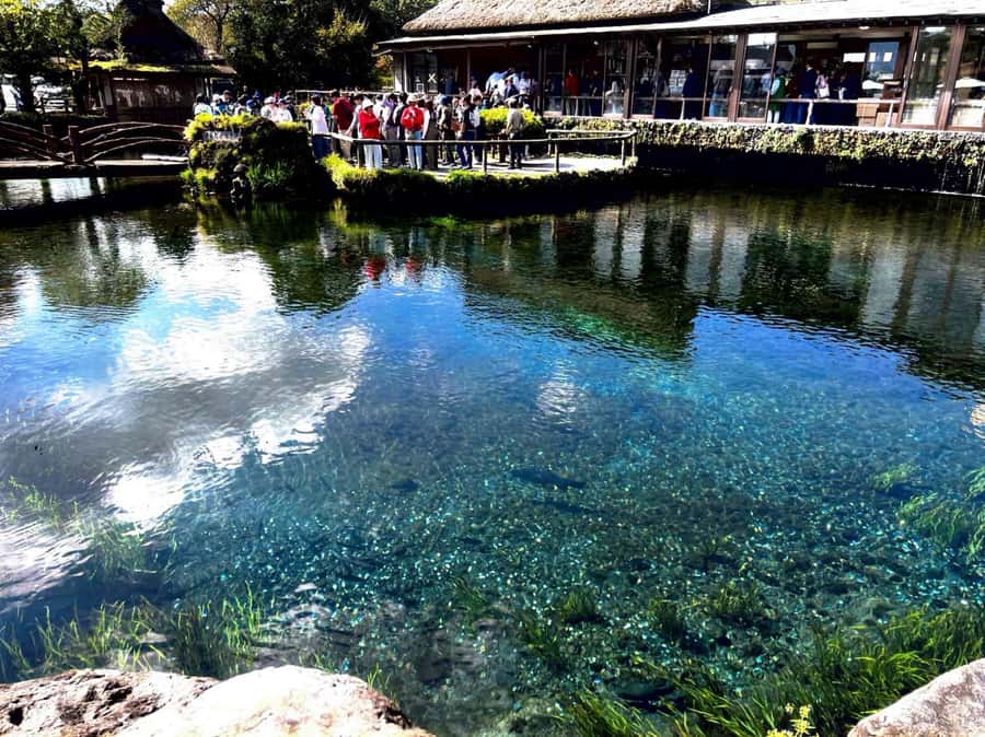 From Tokyo: Mount Fuji Full Day Private Tour English Guide - Oshino Hakkai and its spring-fed ponds
