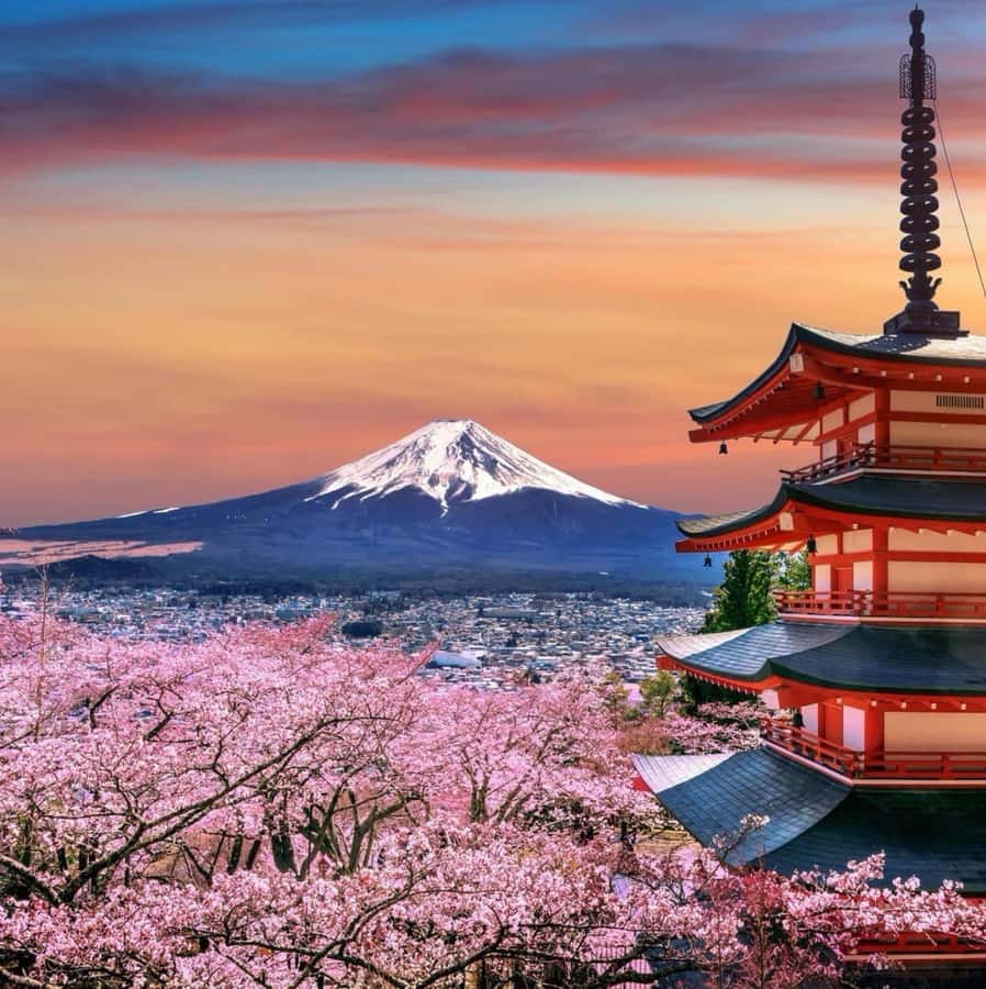 From Tokyo: Mount Fuji Full Day Private Tour English Guide - Why the private format is useful