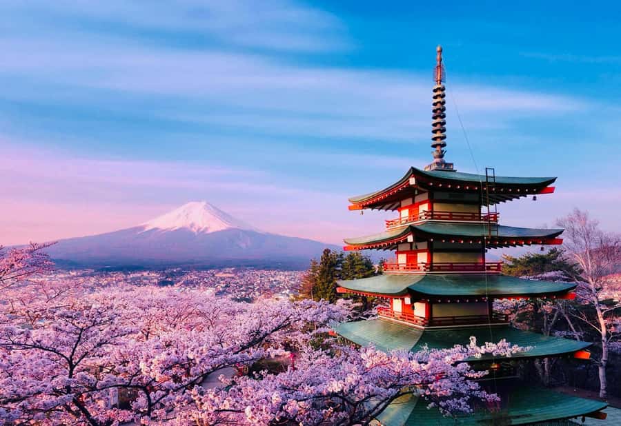 From Tokyo: Mount Fuji Full Day Private Tour English Guide - Timing, traffic, and weather strategy