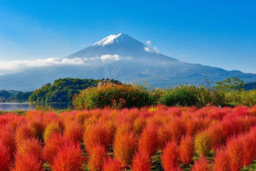 From Tokyo: Mount Fuji Full-Day Sightseeing Trip - Chureito Pagoda requires effort but rewards it
