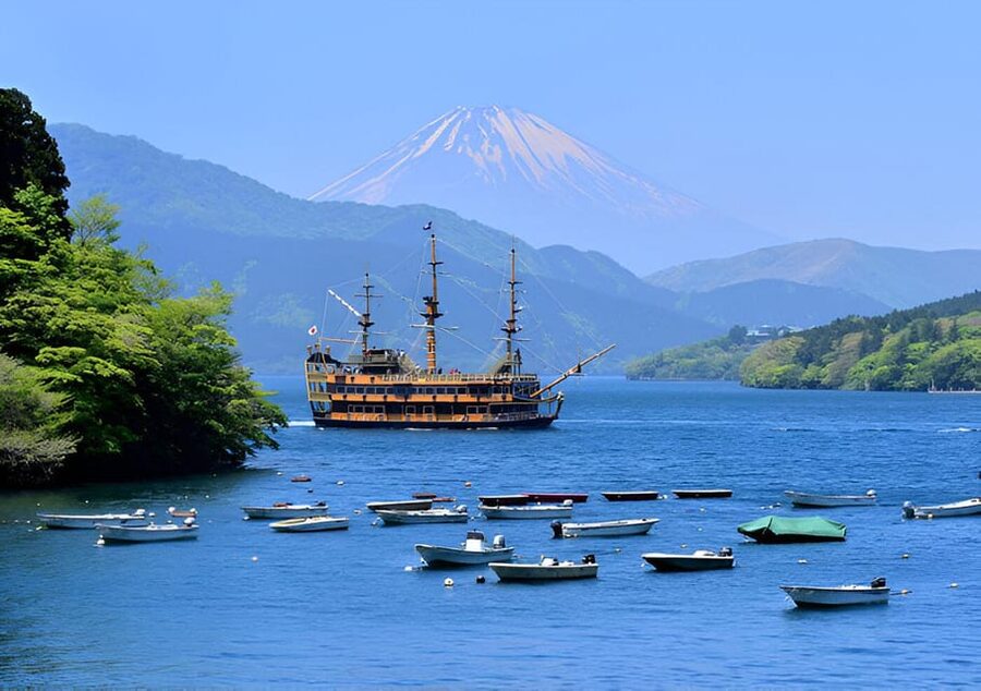 From Tokyo: Mount Fuji & Hakone Full Day Private Tour - Key points at a glance