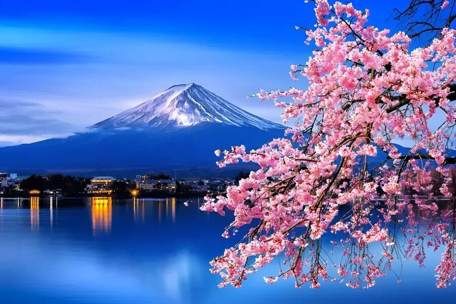 From Tokyo: Mount Fuji & Hakone Full Day Private Tour - Why this private Fuji tour works well from Tokyo