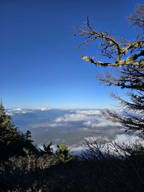 From Tokyo: Mount Fuji & Hakone Full Day Private Tour - Chureito Pagoda and the classic Fuji photograph