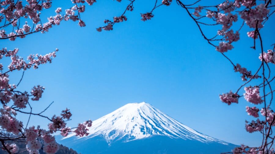 From Tokyo: Mount Fuji Private Day Tour With English Guide - Lake Kawaguchiko, Oishi Park, and the classic view