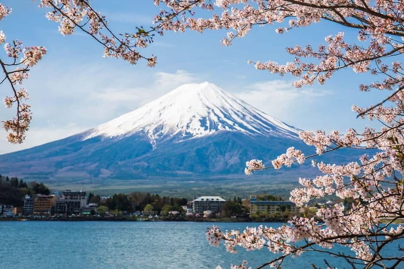 From Tokyo: Mount Fuji Private Tour With English Guide - Key points to know before booking