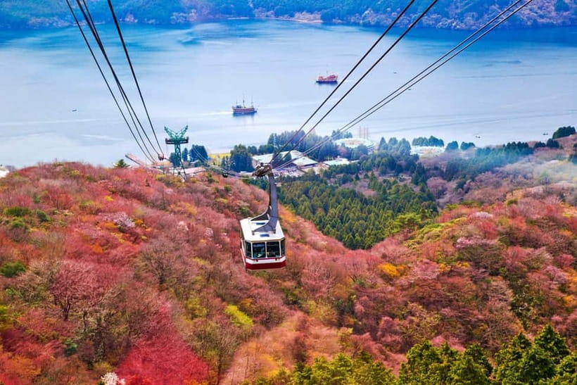 From Tokyo: Mount Fuji Private Tour With English Guide - Gotemba Premium Outlets and shopping time