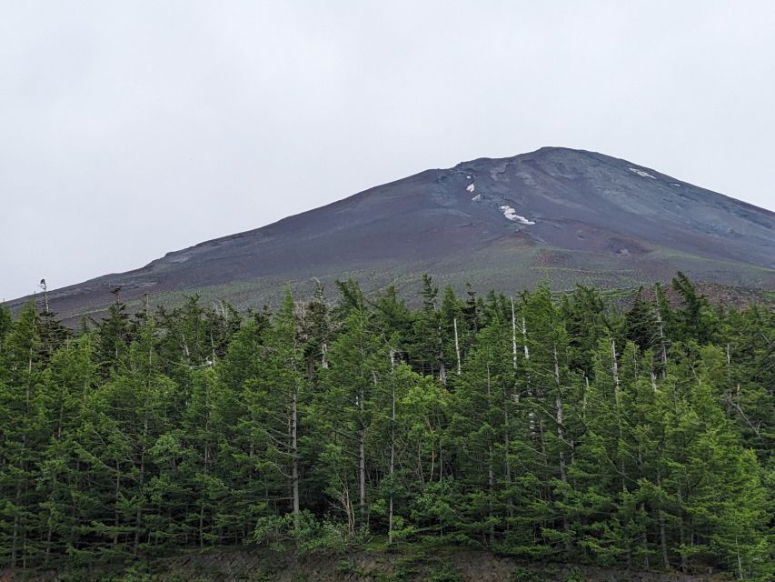 From Tokyo: Mt. Fuji & Hakone Tour w/ Return by Bullet Train - Owakudani and the Hakone Ropeway