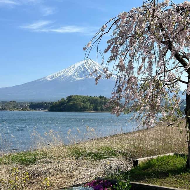 From Tokyo: Mt Fuji Private Day Tour In Luxury Land Cruiser - Why a private Fuji car tour makes sense