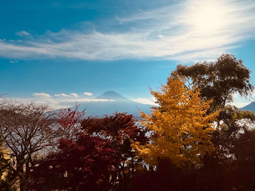 From Tokyo: Mt.Fuji, Tea Ceremony & Outlet Shopping Day Tour - Lake Kawaguchi and the matcha stop