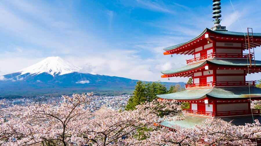 From Tokyo: Mt.Fuji, Tea Ceremony & Outlet Shopping Day Tour - Weather, seasons, and Fuji visibility