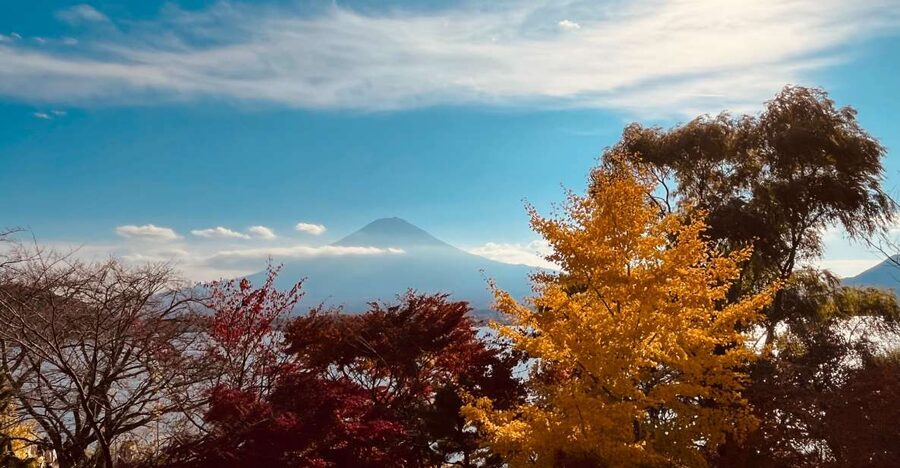 From Tokyo: Mt.Fuji, Tea Ceremony & Outlet Shopping Day Tour - The two-hour ride from Shinjuku