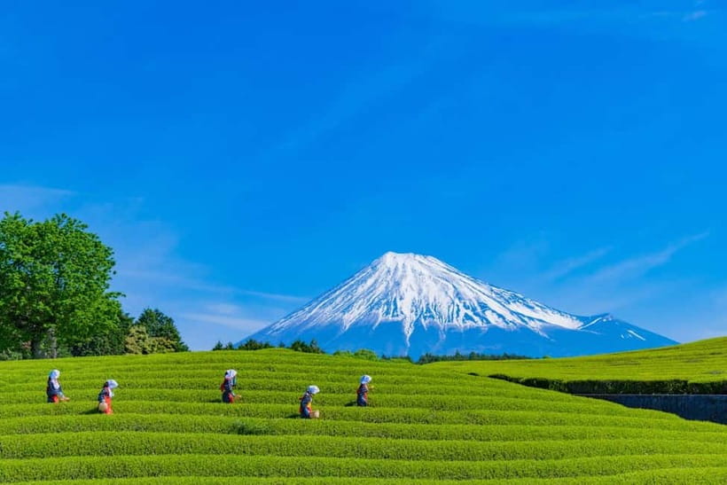 From Tokyo: Must-Visit Mount Fuji Highlight Full-Day Tour - Shiraito Waterfall is more than a Fuji backup plan