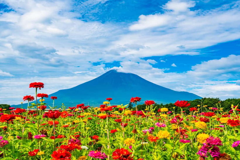 From Tokyo: Must-Visit Mount Fuji Highlight Full-Day Tour - Obuchi Sasaba adds tea fields and a rural view