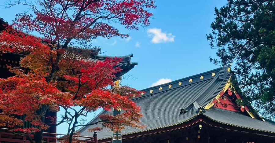 From Tokyo: Nikko Customize private Tour With English Driver - Toshogu Shrine and the art of excess
