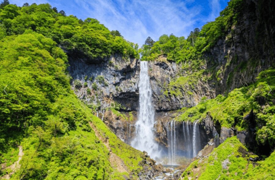 From Tokyo: Nikko Toshogu Day tour with Traditional Lunch - What your $90 covers