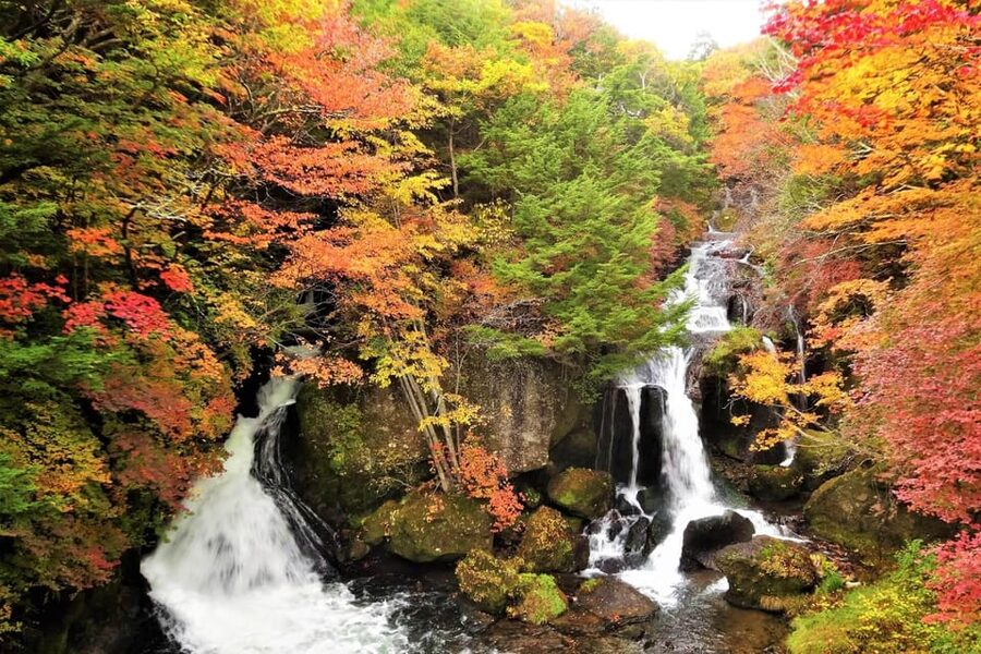 From Tokyo: Nikko World Heritage Site Private Full-Day Trip - Akechidaira gives you Nikko’s big mountain view