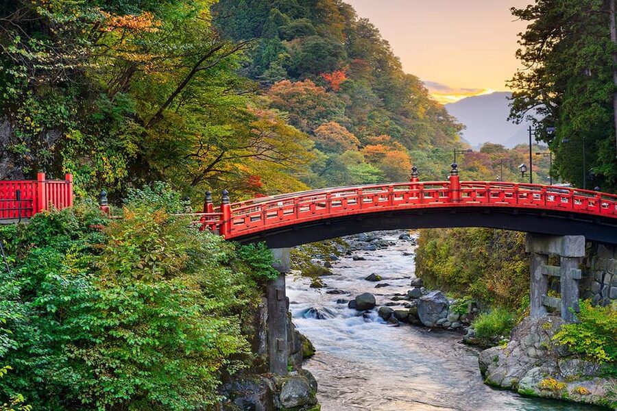 From Tokyo: Nikko World Heritage Site Private Full-Day Trip - Rinno-ji Temple and Shinkyo Bridge fill in the picture