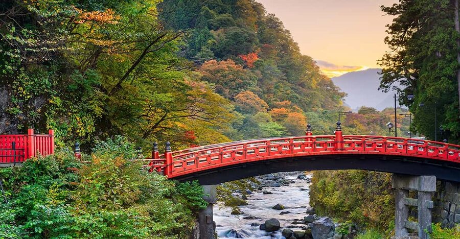 From Tokyo: Nikko World Heritage Site Private Full-Day Trip - Optional stops can change the character of the day