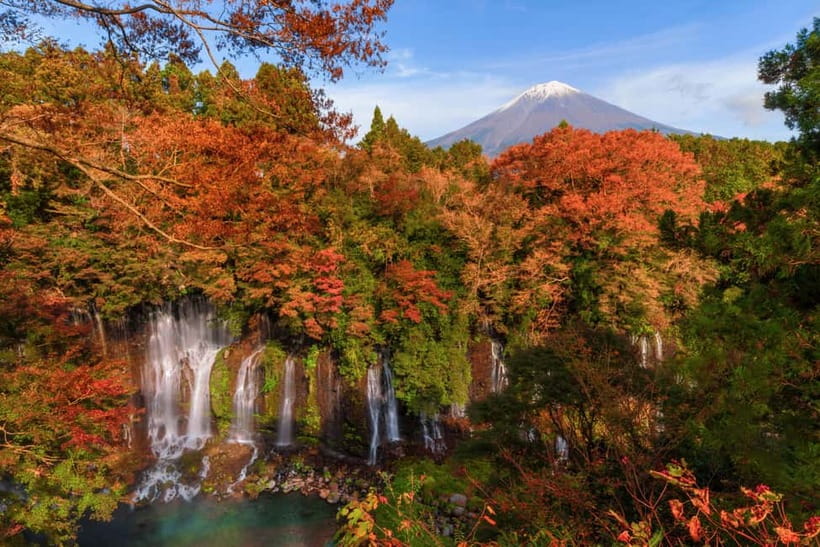 From Tokyo: Private JDM/Sports Car Tour to Mt Fuji & Hakone - Is $387 per person a fair price?