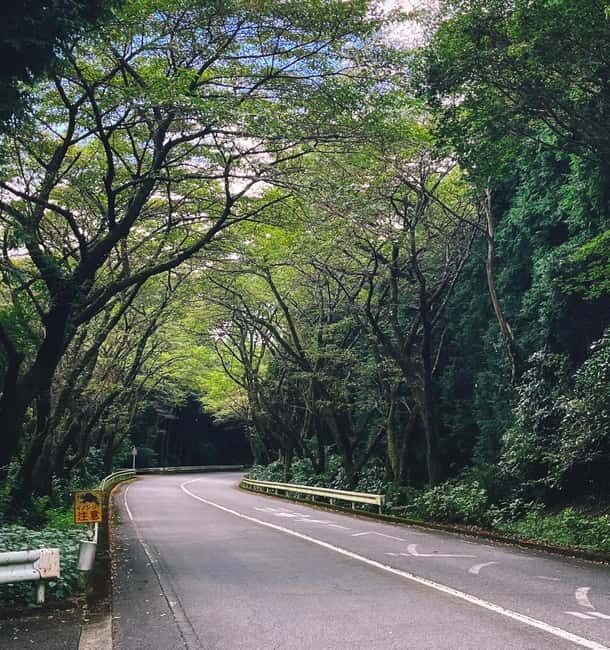 From Tokyo: Private JDM/Sports Car Tour to Mt Fuji & Hakone - An hour at Hakone Shrine