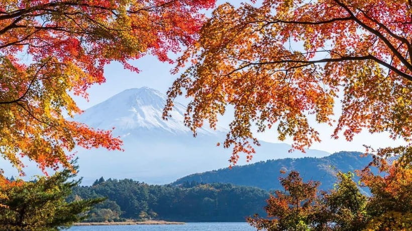 From Tokyo: Private Mt. Fuji and Hakone Tour by Car - Why this private day works so well