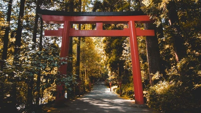 From Tokyo: Private Mt. Fuji and Hakone Tour by Car - Hakone Shrine adds a quiet cultural stop