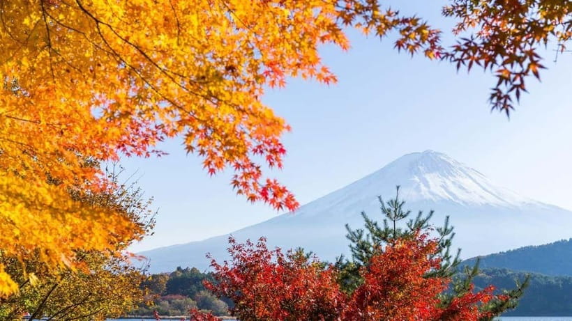 From Tokyo: Private Mt. Fuji and Hakone Tour by Car - Gotemba Premium Outlets can end the sightseeing day