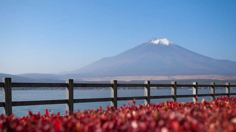 From Tokyo: Private Mt. Fuji and Hakone Tour by Car - What the driver adds to the day