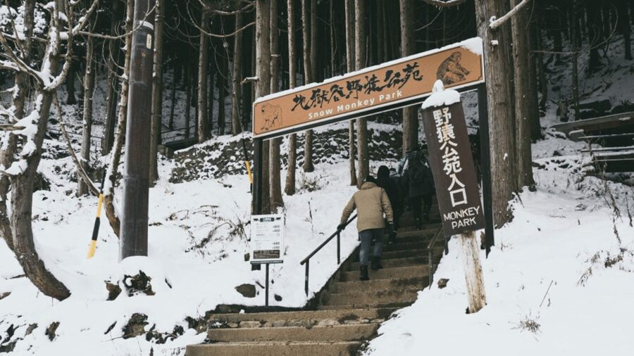 From Tokyo: Private Tour Snow Monkey Park & Zenko-ji Temple - What to bring and what not to expect