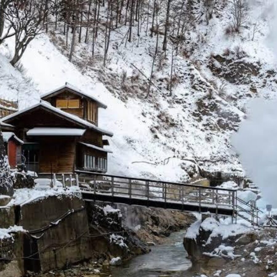 From Tokyo: Private Tour Snow Monkey Park & Zenko-ji Temple - Price, timing, and who gets the best value