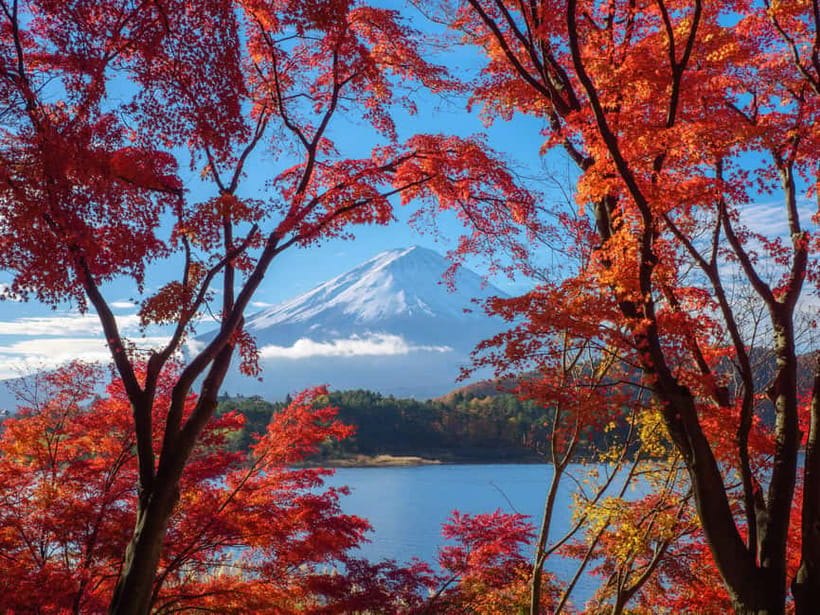From Tokyo: Private Tour to Fuji/Hakone - Onsen, Art, Nature - Who will enjoy this day most