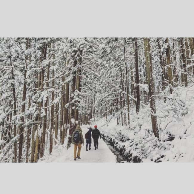 From Tokyo: Snow Monkey Park and Miso Production Day Tour - Key points to know before booking
