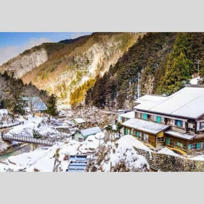 From Tokyo: Snow Monkey Park and Miso Production Day Tour - What the guides add to the experience